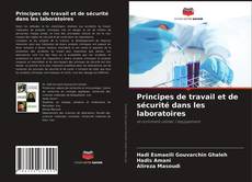 Couverture de Principes de travail et de sécurité dans les laboratoires