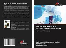 Principi di lavoro e sicurezza nei laboratori的封面