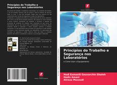 Copertina di Princípios do Trabalho e Segurança nos Laboratórios