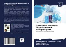 Capa do livro de Принципы работы и безопасности в лабораториях 