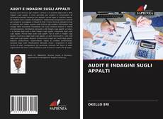 Copertina di AUDIT E INDAGINI SUGLI APPALTI