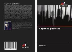 Capire la pedofilia的封面