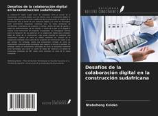 Desafíos de la colaboración digital en la construcción sudafricana的封面