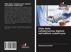 Copertina di Sfide della collaborazione digitale nell'edilizia sudafricana