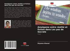 Amalgame entre réalité et fiction dans Les pas de Socrate的封面
