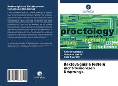 Buchcover von Rektovaginale Fisteln nicht-tumorösen Ursprungs