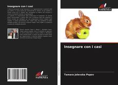 Insegnare con i casi的封面