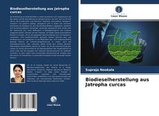 Обложка Biodieselherstellung aus Jatropha curcas