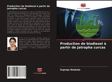 Couverture de Production de biodiesel à partir de Jatropha curcas