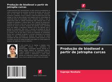 Couverture de Produção de biodiesel a partir de Jatropha curcas