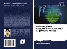 Bookcover of Производство биодизельного топлива из Jatropha curcas
