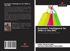 Economic intelligence for SMEs in the DRC的封面