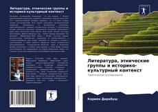 Copertina di Литература, этнические группы и историко-культурный контекст