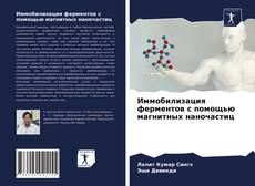 Copertina di Иммобилизация ферментов с помощью магнитных наночастиц