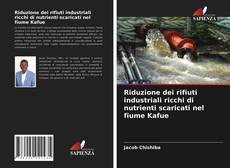 Copertina di Riduzione dei rifiuti industriali ricchi di nutrienti scaricati nel fiume Kafue