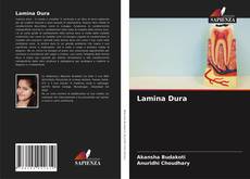 Copertina di Lamina Dura