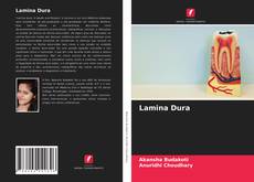 Capa do livro de Lamina Dura 