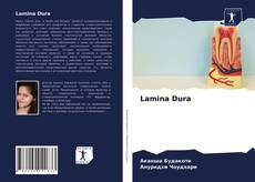 Copertina di Lamina Dura