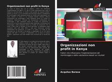 Copertina di Organizzazioni non profit in Kenya