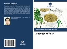 Couverture de Ghavoot Kerman