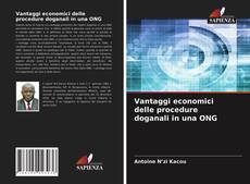 Copertina di Vantaggi economici delle procedure doganali in una ONG