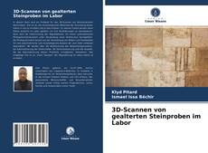 Portada del libro de 3D-Scannen von gealterten Steinproben im Labor