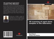 3D scanning of aged stone samples in the laboratory的封面