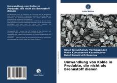 Portada del libro de Umwandlung von Kohle in Produkte, die nicht als Brennstoff dienen