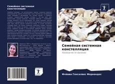 Copertina di Семейная системная констелляция