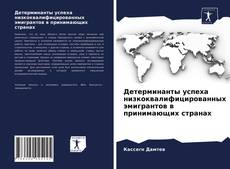 Copertina di Детерминанты успеха низкоквалифицированных эмигрантов в принимающих странах