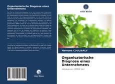 Portada del libro de Organisatorische Diagnose eines Unternehmens
