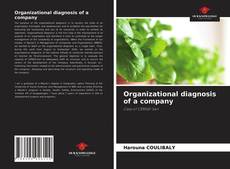 Organizational diagnosis of a company的封面