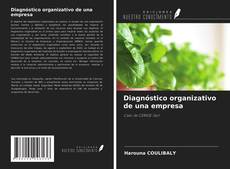 Couverture de Diagnóstico organizativo de una empresa