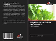 Diagnosi organizzativa di un'azienda的封面