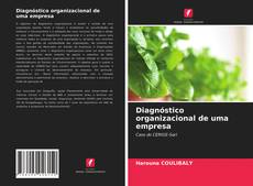 Copertina di Diagnóstico organizacional de uma empresa
