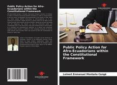 Public Policy Action for Afro-Ecuadorians within the Constitutional Framework的封面