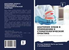 Copertina di АНАТОМИЯ ЗУБОВ В ПРИМЕНЕНИИ К СТОМАТОЛОГИЧЕСКОЙ ПРАКТИКЕ