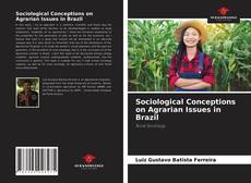 Sociological Conceptions on Agrarian Issues in Brazil的封面