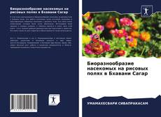 Copertina di Биоразнообразие насекомых на рисовых полях в Бхавани Сагар