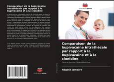 Couverture de Comparaison de la bupivacaïne intrathécale par rapport à la bupivacaïne et à la clonidine