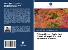 China-Afrika: Zwischen Entwicklungshilfe und Neokolonialismus kitap kapağı
