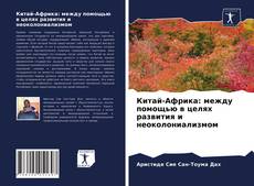 Copertina di Китай-Африка: между помощью в целях развития и неоколониализмом