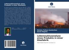Buchcover von Lebenszyklusanalyse eines Produkts in einer Glasfabrik