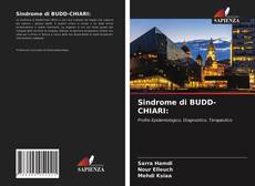 Copertina di Sindrome di BUDD-CHIARI: