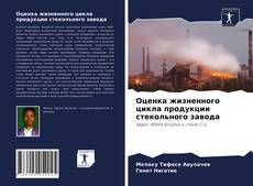 Copertina di Оценка жизненного цикла продукции стекольного завода