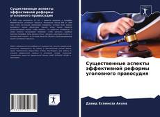 Copertina di Существенные аспекты эффективной реформы уголовного правосудия