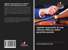 Copertina di Aspetti essenziali di una riforma efficace della giustizia penale