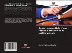 Borítókép a  Aspects essentiels d'une réforme efficace de la justice pénale - hoz