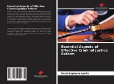 Essential Aspects of Effective Criminal Justice Reform的封面