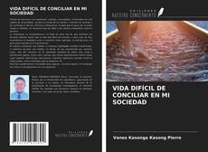 Bookcover of VIDA DIFÍCIL DE CONCILIAR EN MI SOCIEDAD